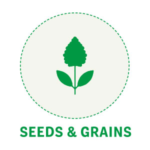 Seeds and grains Archives | Z-Company | Natural Health Food Ingredients ...